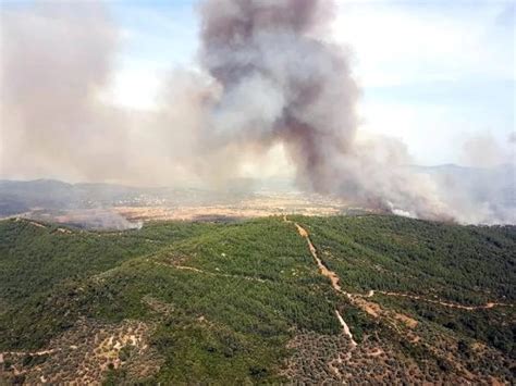 M­u­ğ­l­a­­d­a­ ­o­r­m­a­n­ ­y­a­n­g­ı­n­ı­ ­-­ ­S­o­n­ ­D­a­k­i­k­a­ ­H­a­b­e­r­l­e­r­